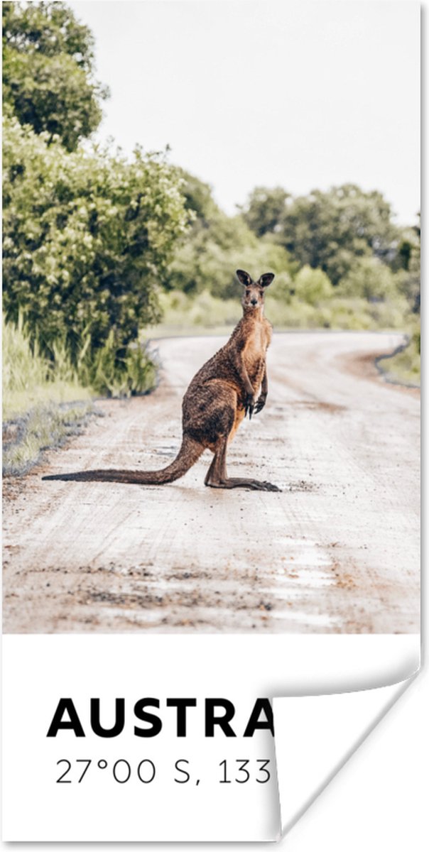 Poster Kangoeroe - Australië - Dieren - 60x120 cm