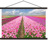 Porte-affiche avec affiche - Affiche scolaire - Tulipes - Soleil - Printemps - 60x40 cm - Lattes noires