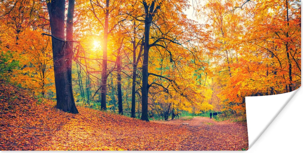 Poster Bomen - Herfst - Bos - Herfstbladeren - 40x20 cm