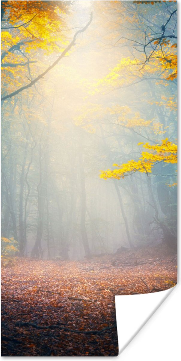 Poster Bos - Mist - Herfst - 40x80 cm