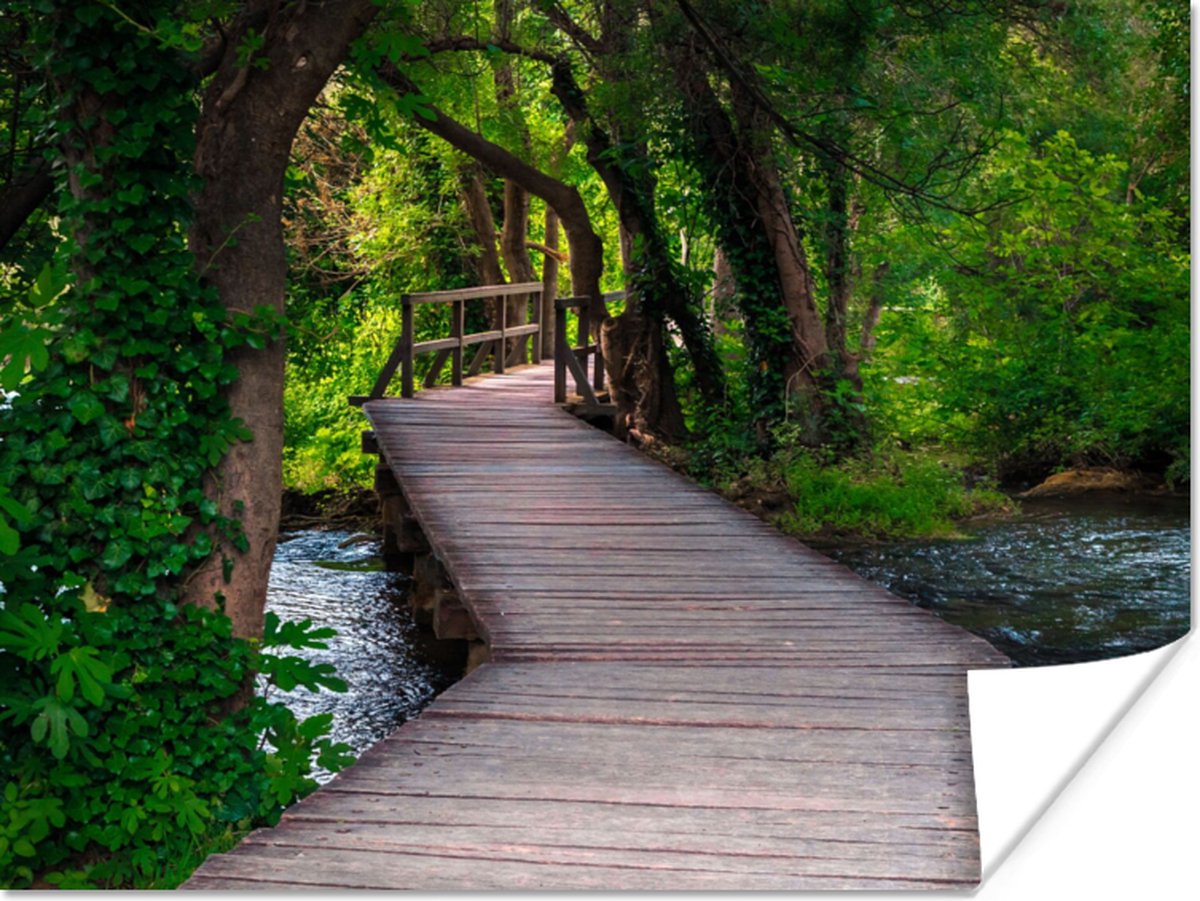 Poster Bos - Natuur - Brug - 40x30 cm