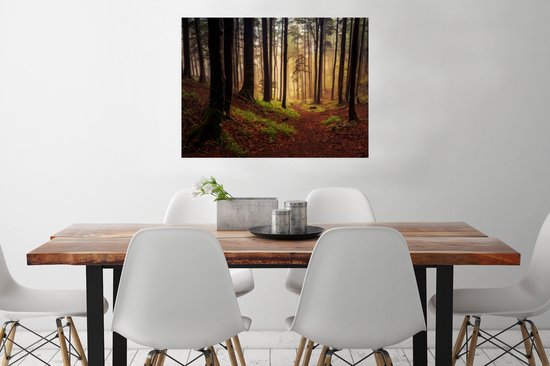 Affiche Arbres - Nature - Forêt - 80x60 cm