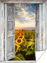 Affiche Transparente - Tournesol - Fleurs - Soleil - 30x40 cm