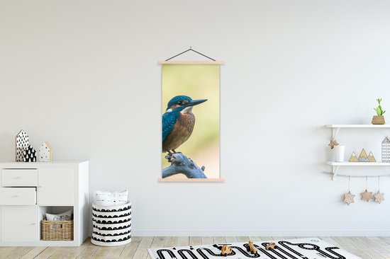 Porte-affiche avec affiche - Affiche scolaire - Martin-pêcheur - Branche - Vogel - 90x180 cm - Lattes vierges