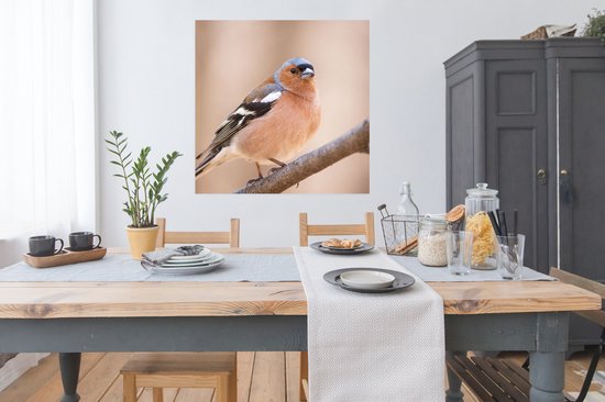 Vink met oranje borst, witte vleugelstrepen en grijze kop zittend op een tak.