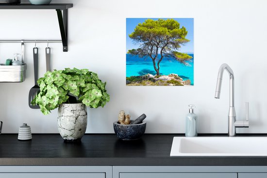 Poster Arbre - Mer - Tropical - Été - 30x30 cm