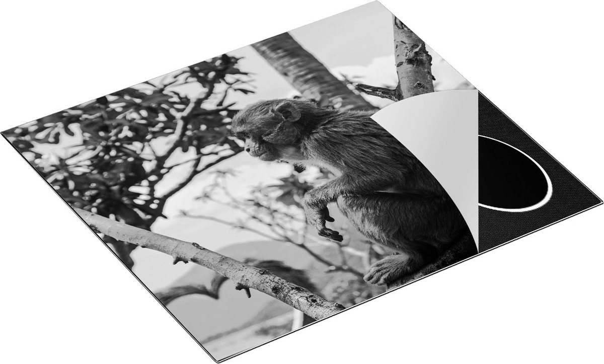 Chefcare Inductie Beschermer Aap in de Boom - Zwart Wit - 60x50 cm - Afdekplaat Inductie - Kookplaat Beschermer - Inductie Mat