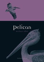 Animal - Pelican