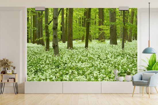 Papier peint photo vinyle - Fleurs Witte dans une forêt en fleurs du parc national du Hainich en Allemagne largeur 390 cm x hauteur 260 cm - Tirage photo sur papier peint (disponible en 7 tailles)