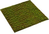 Grimmia kunstmos decoratie mat - nep mos wandpaneel - moswand - 100 x 100 cm - Groen - Bruin