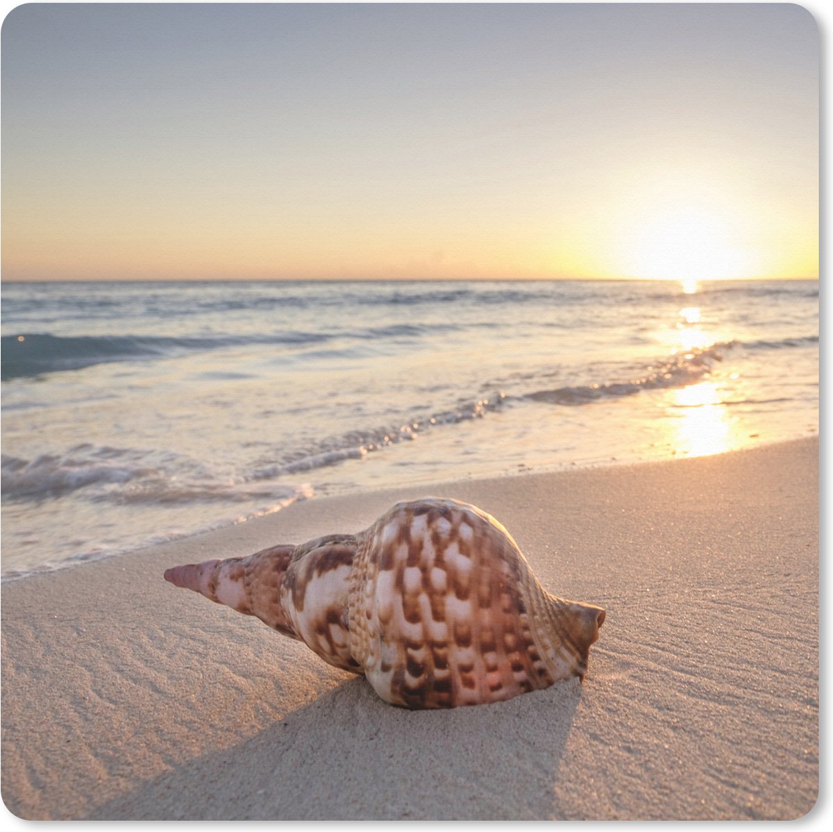 Muismat XXL 60x60 cm - Bureau onderlegger - Bureau mat Schelp - Strand - Lucht - Bureaumat - Gaming mousepad xl - Bureaulegger groot - Computer deskmat