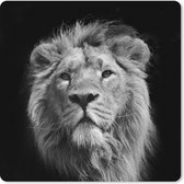 Muismat XXL - Bureau onderlegger - Bureau mat - Aziatische leeuw tegen zwarte achtergrond in zwart-wit - 80x80 cm - XXL muismat