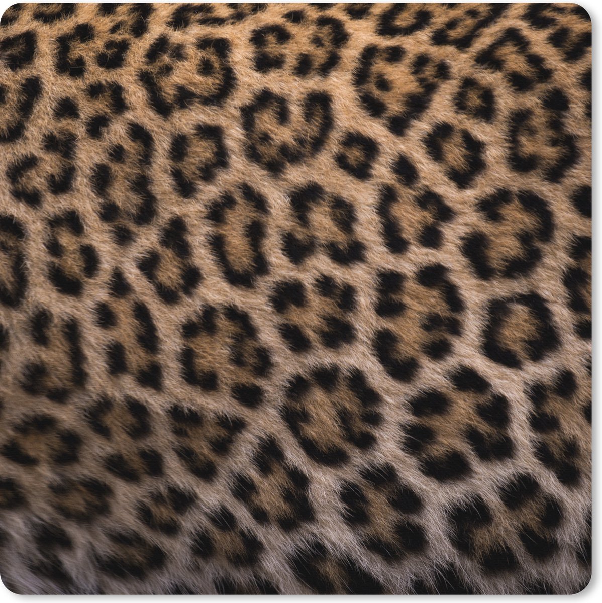 Muismat XXL 60x60 cm - Bureau onderlegger - Bureau mat Panterprint - Bureaumat - Gaming mousepad xl - Bureaulegger groot - Computer deskmat