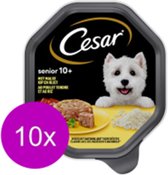 10x Cesar Senior Tub In Jelly Kip & Rice - Nourriture pour chiens - 150g