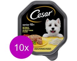 10x Cesar Senior Kuipje In Gelei Kip & Rijst - Hondenvoer - 150g