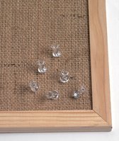 Punaises transparentes NAGA, 25 pièces