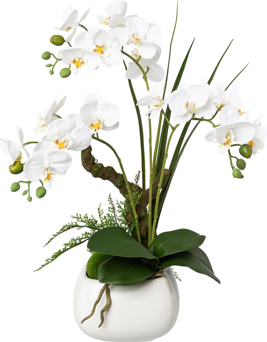 Kopu Kunstbloem Orchidee 46 cm Wit met Bloempot - Phalaenopsis paars