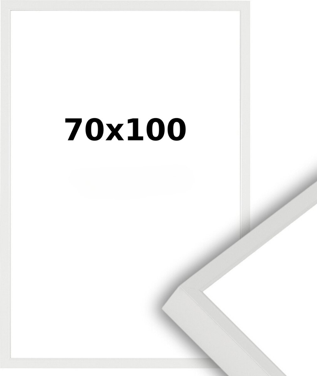 Lichtendonk Aluminium Wissellijst 70 x 100 Wit - Ontspiegeld Acrylite - Professional