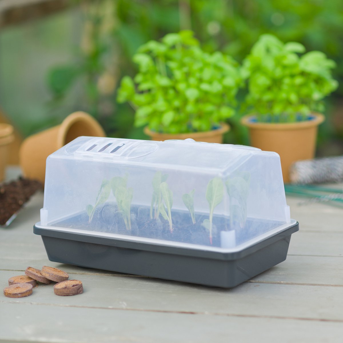 Talen Tools Nature Mini-kweekbak - H17 x 32 x 18cm - Antraciet