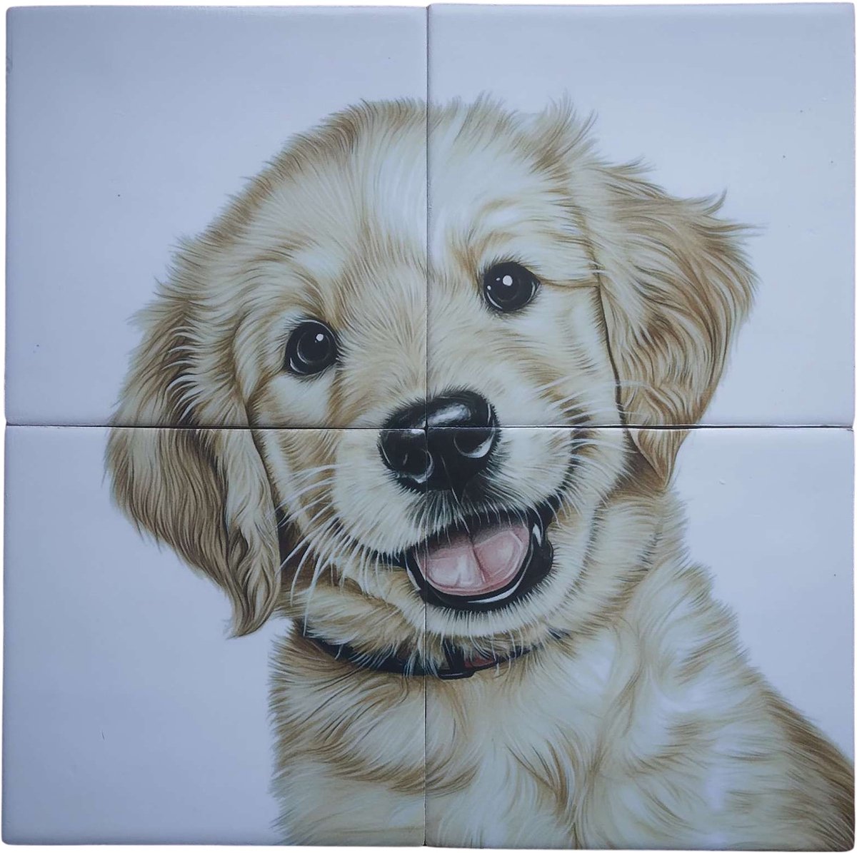 MadDeco Nederlands fabrikaat Golden Retriever pup op plateau van 4 tegels Friese Witjes 13 x 13 cm per tegel
