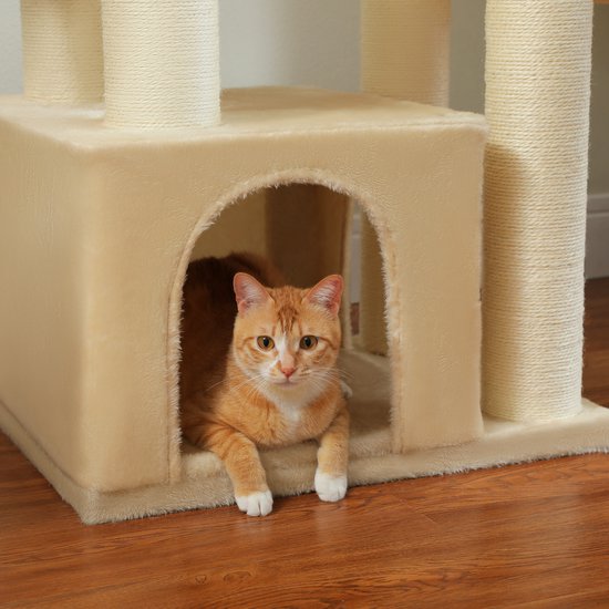 Een oranje kat zit in een beige kattenhuisje aan de voet van een krabpaal.