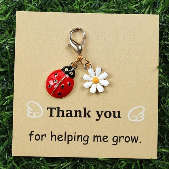 Lieveheersbeestje - Sleutelhanger - Gelukshanger - Hangertje - Lady Bug - Key Chain - Met Kaartje Met Tekst