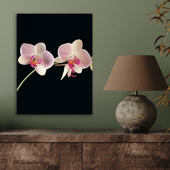 Décoration murale Métal - Peinture Aluminium Industriel - Orchidée - Fleurs - Zwart - Rose - Boutons - 30x40 cm - Dibond - Photo sur aluminium - Décoration murale industrielle - Pour le salon/chambre