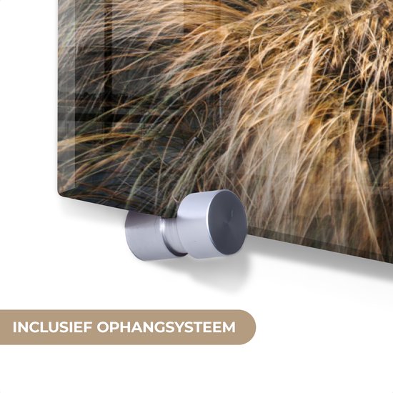 Peintures sur verre - Plage - Mer - Scheveningen - Nederland - 120x80 cm - Peintures Plexiglas