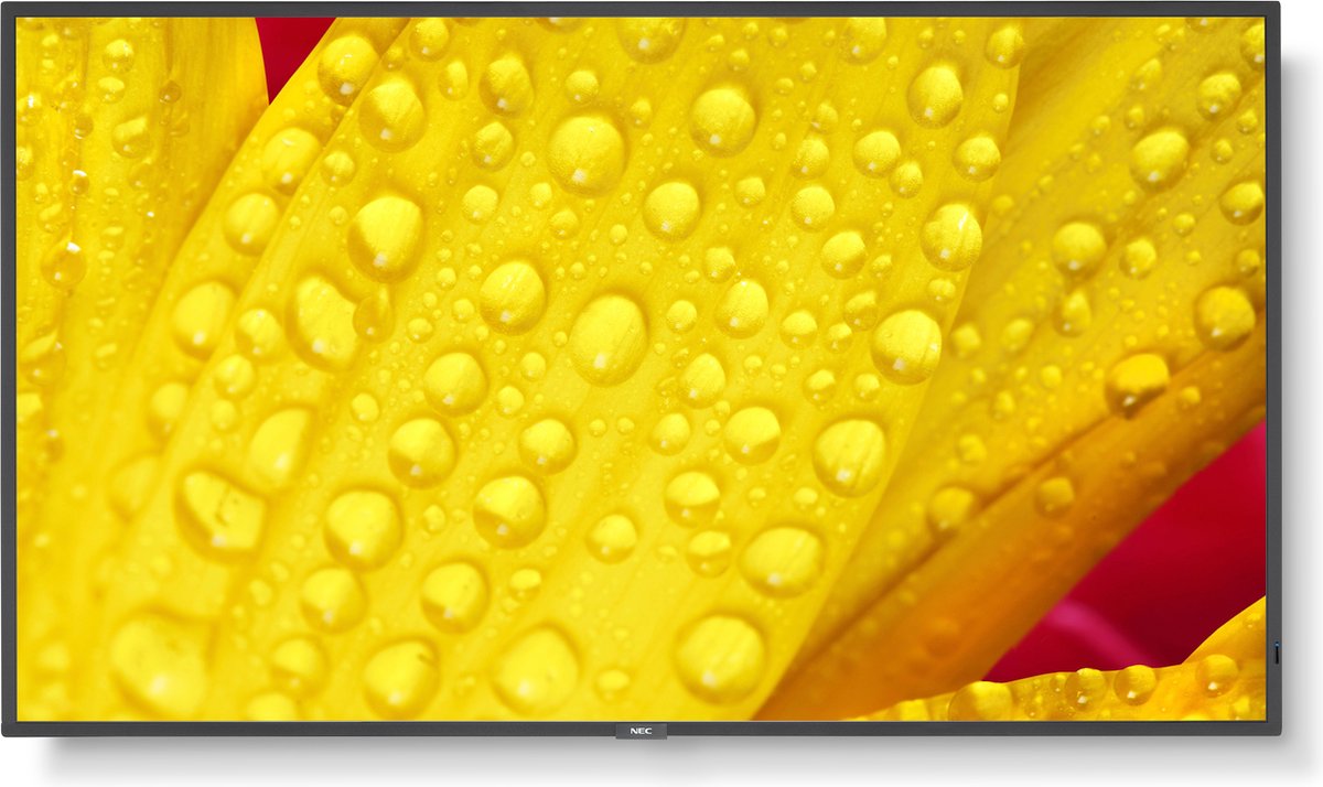Monitor NEC 60006085 50" 4K Ultra HD