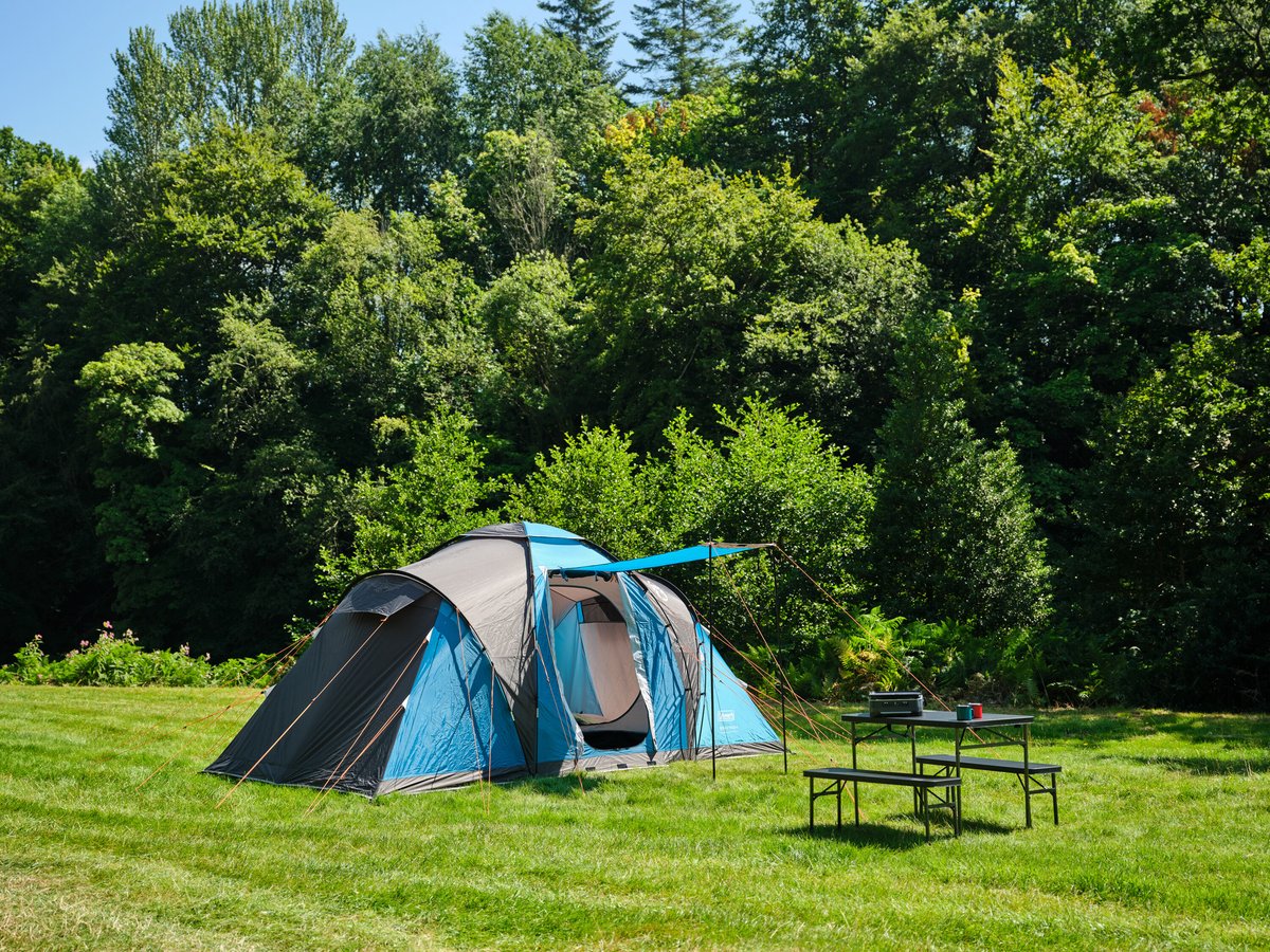 Coleman Spruce Falls 4 familietent – 4 persoons tent – 2 meter stahoogte – waterdicht en lichtgewicht – blauw/zwart – foto 5