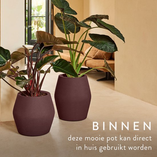 Twee paarse bloempotten met grote groene planten erin, geplaatst in een woonkamer.