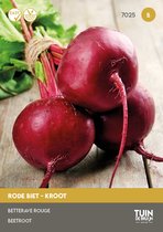 Tuin de Bruijn® zaden - Rode Biet / Kroot Kogel 2 - voor zomer- en herfstteelt - ca. 650 zaden