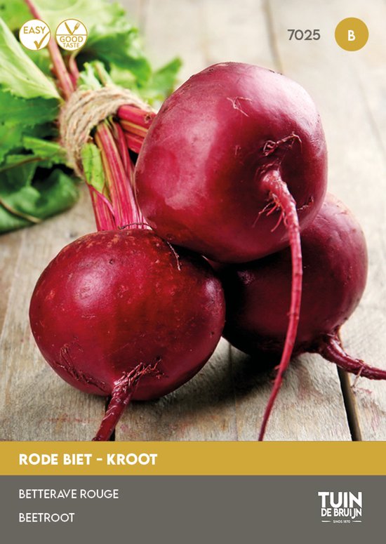 Tuin de Bruijn® zaden - Rode Biet / Kroot Kogel 2 - voor zomer- en herfstteelt - ca. 650 zaden