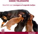 Teckel moeder met pups. Tekst "Goede tolerantie. Geschikt voor drachtige of zogende teefjes."