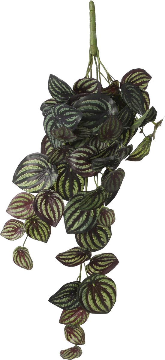 Mica Decorations Mica Decoration Peperomia kunstplant - hangplant - 58 x 14 cm - Kamer/kantoor planten Variegated, donker groen