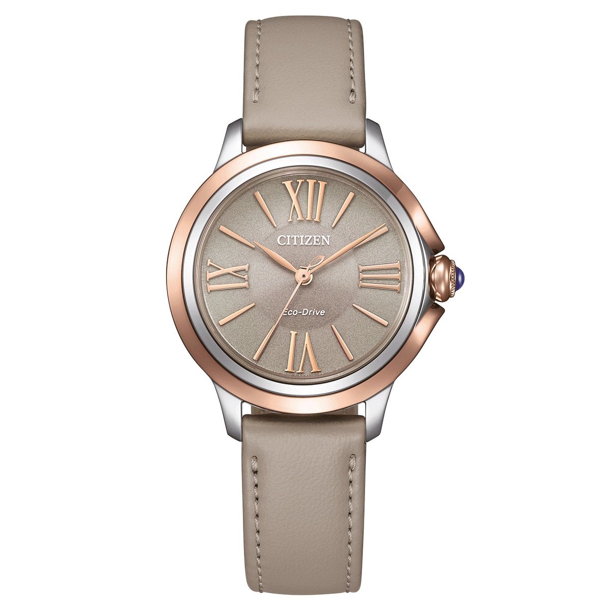 Citizen EM1166-01Z Horloge - Leer - Grijs - Ø 30 mm