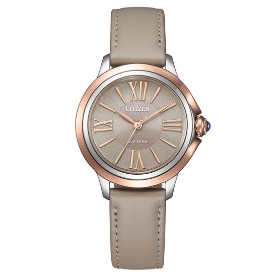 Montre Citizen EM1166-01Z - Cuir - Grijs - Ø 30 mm