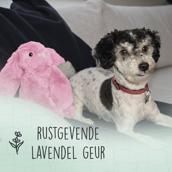 De 10 beste honden (flos)touwen veel informatie (2022) - Dagboek van