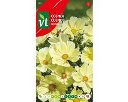 Cosmea Xanthos - Unieke zachtgele bloemen met langdurige bloei tot aan de vorst