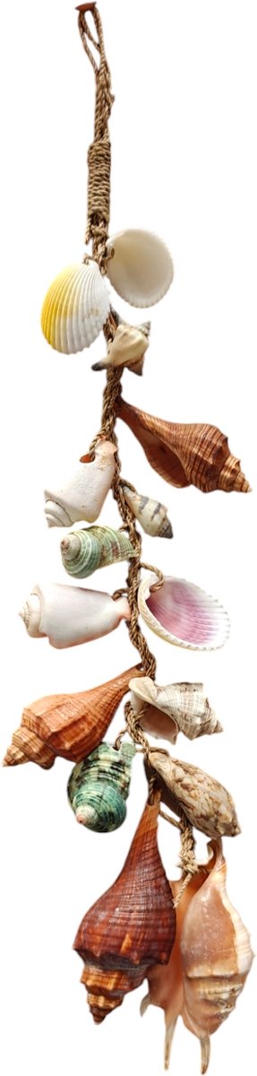 Schelpdecoratie – Schelpenhanger - Handgemaakte decoratie - Boho decoratie - Natuurlijke decoratie - Ecologische woondecoratie - Hangdecoratie natuur - Zee geïnspireerde decoratie - Tropische decoratie - Duurzame decoratie - Bohemian woonaccessoires