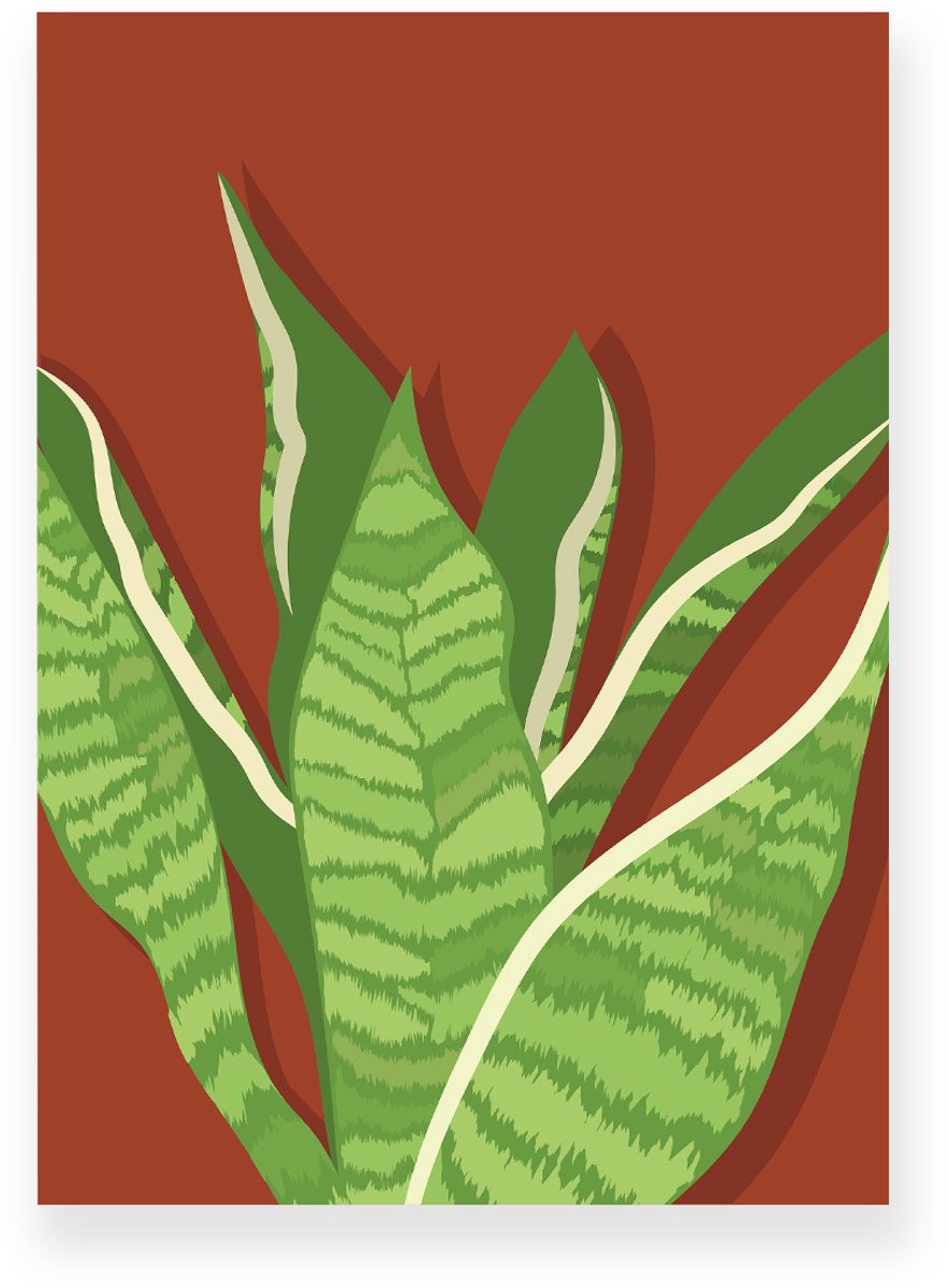 Yisual Poster 20x30 cm - Sansevieria - Planten - Groen - Roodbruin - Botanisch - Minimalistisch - Muurdecoratie - Wanddecoratie
