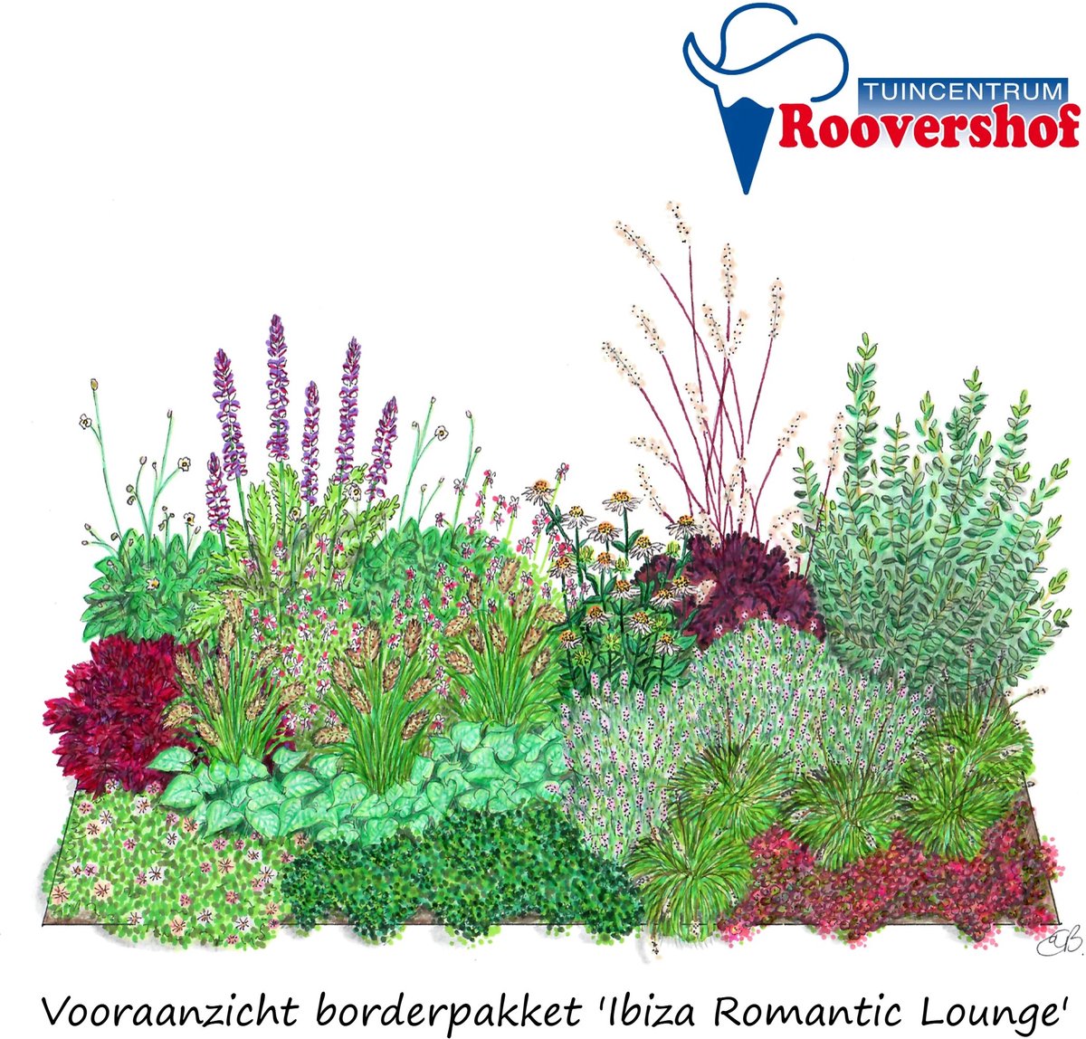 Borderpakket Ibiza 'Romantic Lounge' - mediterrane tuin - 52 planten - 7-8 m²