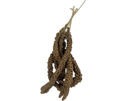 Trosgierst - 3 KG