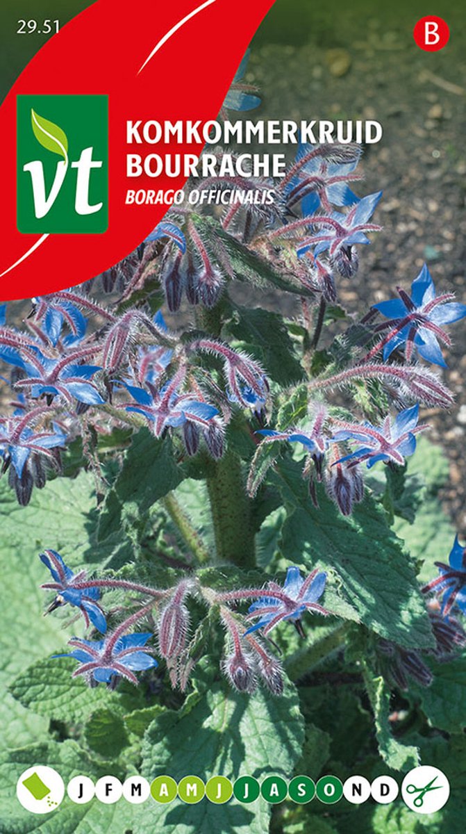 Komkommerkruid Zaden - Eetbare Bloemen voor Culinaire en Decoratieve Toepassingen