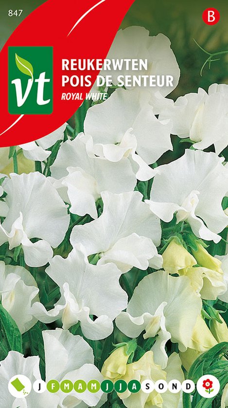 Reukerwten 'Royal White' Zaden - Sierlijke en Geurende Witte Bloemen
