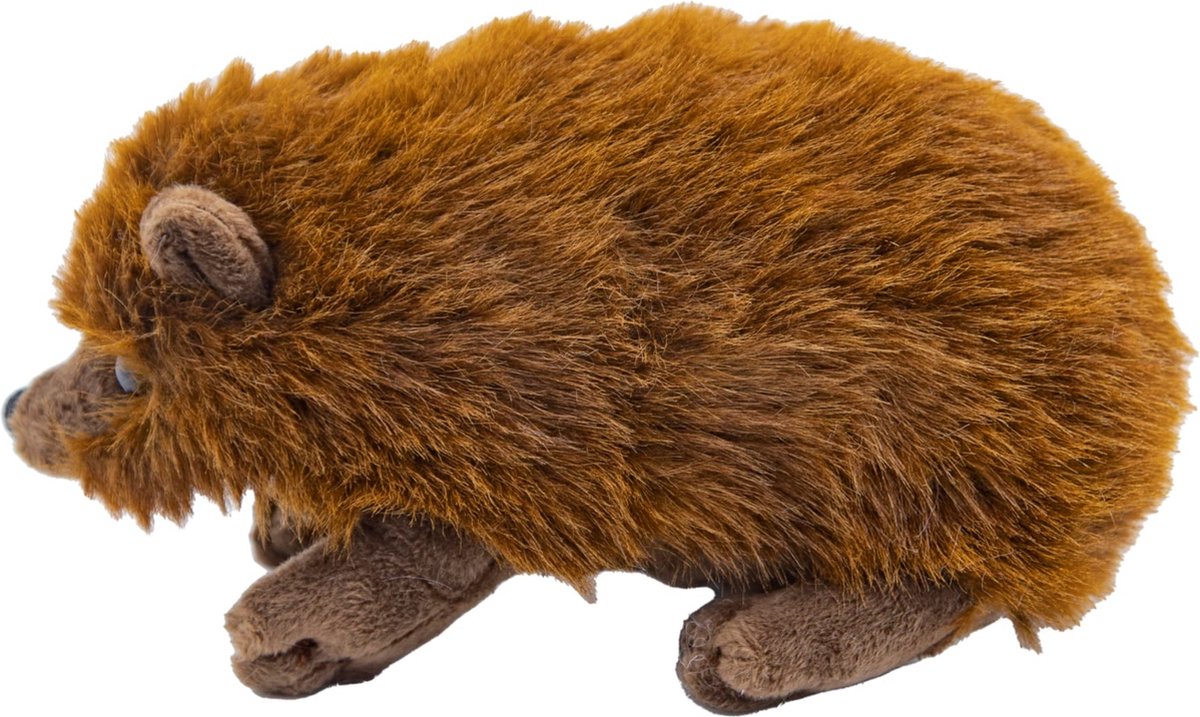 Cute since 1999 Knuffel Egel  Egel speelgoed Baby knuffel  16cm