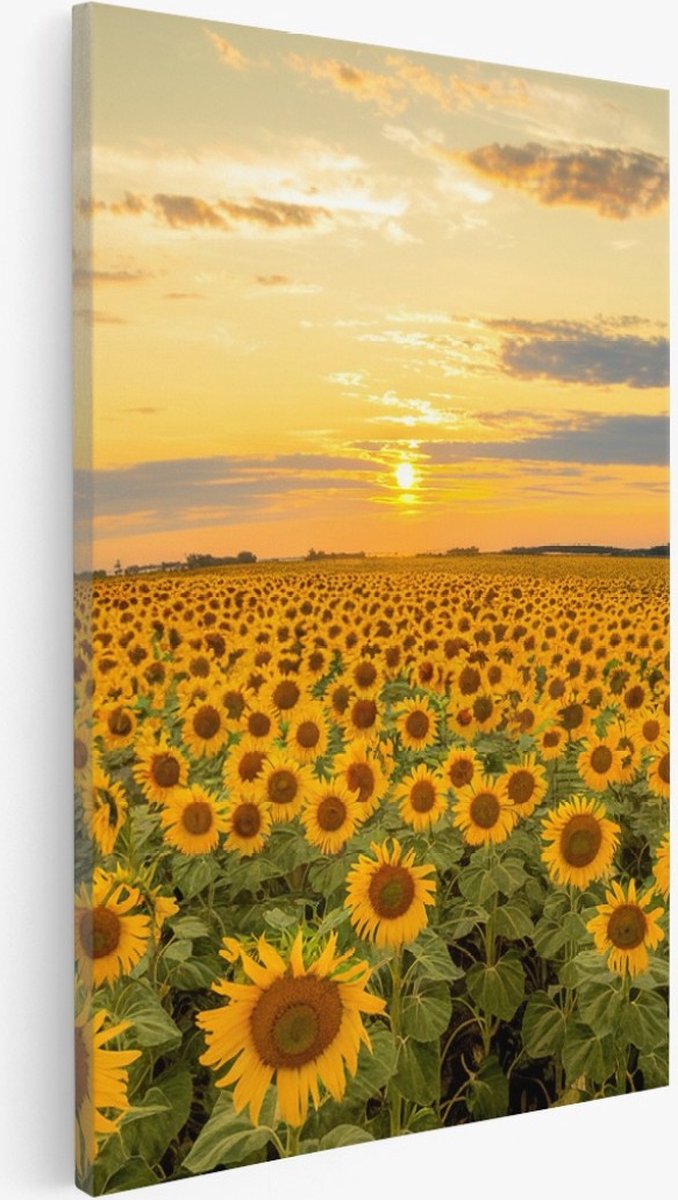 Saammp Canvas Schilderij - Zonnebloemenveld - Landschap - Natuur - 40x60 - Foto op canvas - Wanddecoratie - Muurdecoratie Woonkamer - Slaapkamer decoratie - Canvas Print Multicolor
