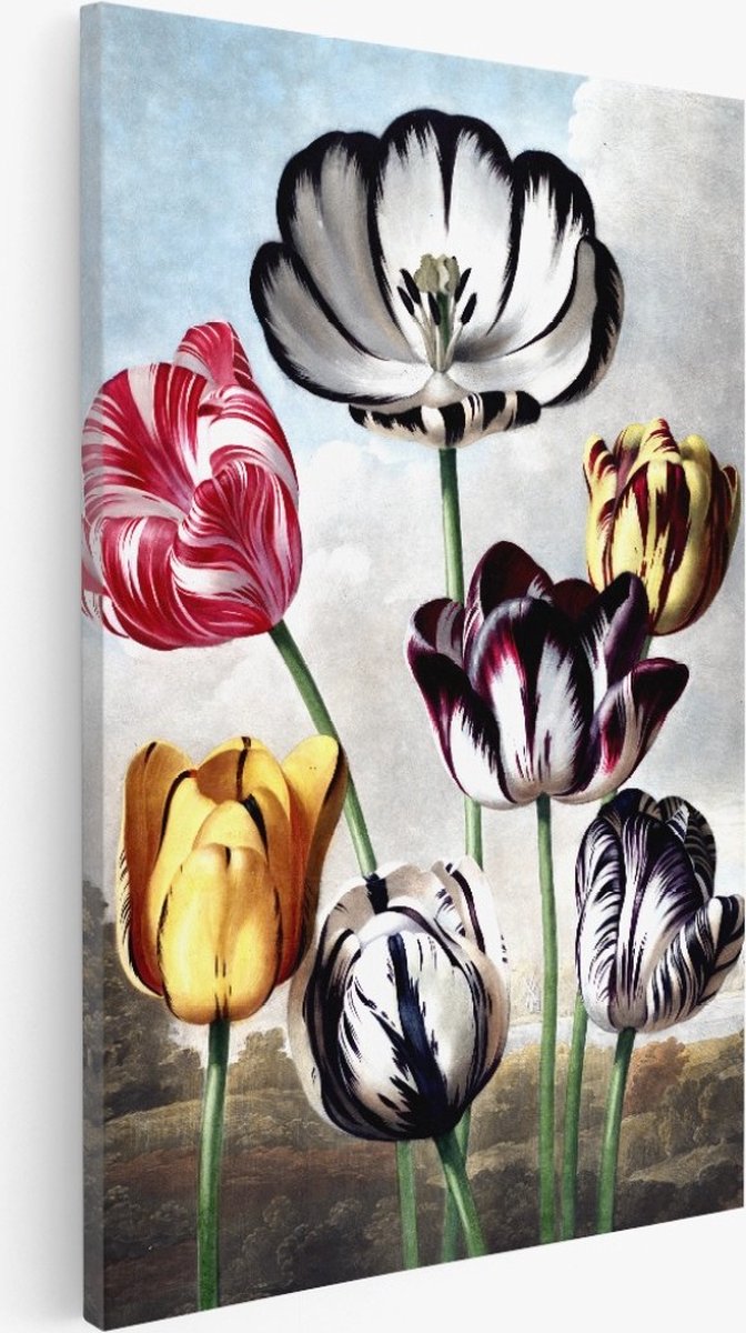 Saammp Canvas Schilderij - Tulpen - Bloemen - Abstract - 100x150 - Foto op canvas - Wanddecoratie - Muurdecoratie Woonkamer - Kantoor Decoratie Multicolor