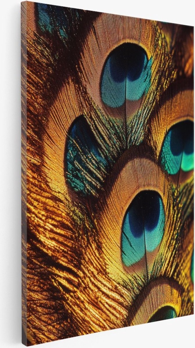 Saammp Canvas Schilderij - Pauwveren - Dieren - Abstract - 50x70 - Foto op canvas - Wanddecoratie - Muurdecoratie Woonkamer - Slaapkamer decoratie - Canvas Print Multicolor