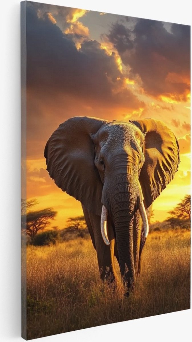 Saammp Canvas Schilderij - Olifant met zonsondergang - Savanne - Dieren - Natuur - 75x100 - Foto op canvas - Wanddecoratie - Muurdecoratie Woonkamer - Slaapkamer decoratie - Canvas Print Multicolor